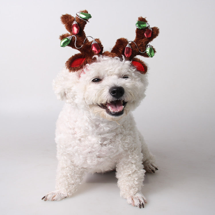Accessoires pour animaux de compagnie Chapeau de chien de Noël