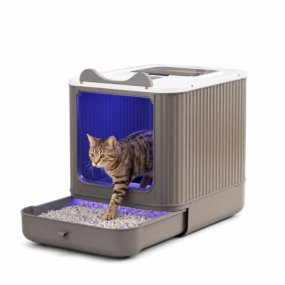 Boîte à litière pour chats fermée avec entrée haut et avant