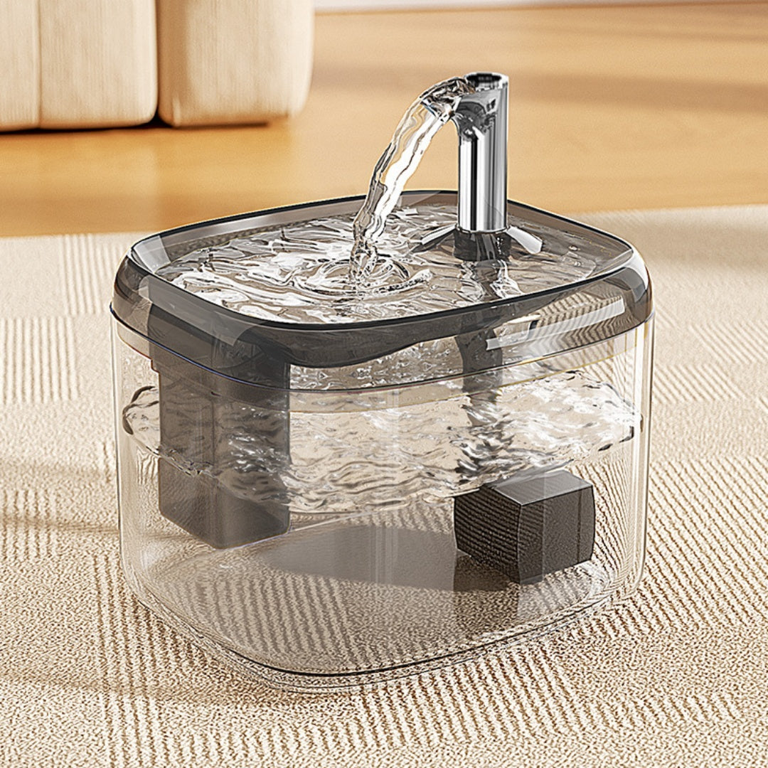 Fontaine d'eau de circulation automatique pour les chats