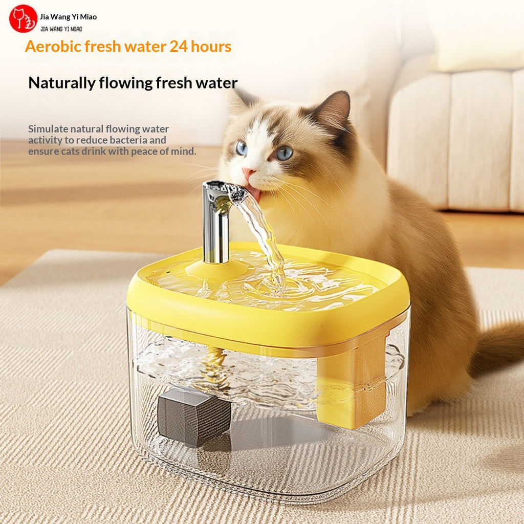 Fontaine d'eau de circulation automatique pour les chats