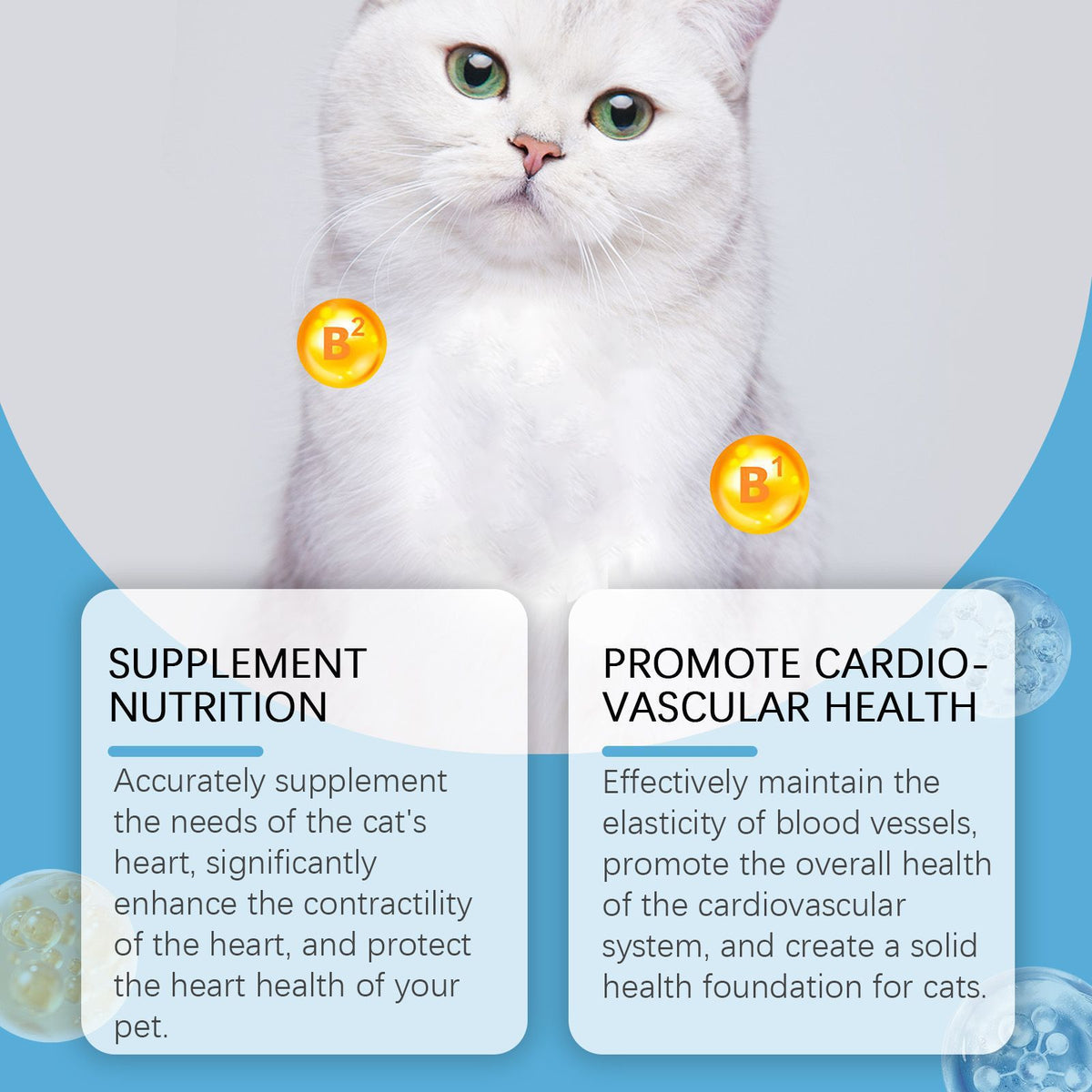 Daily Coenzyme Q10 tablets for cats