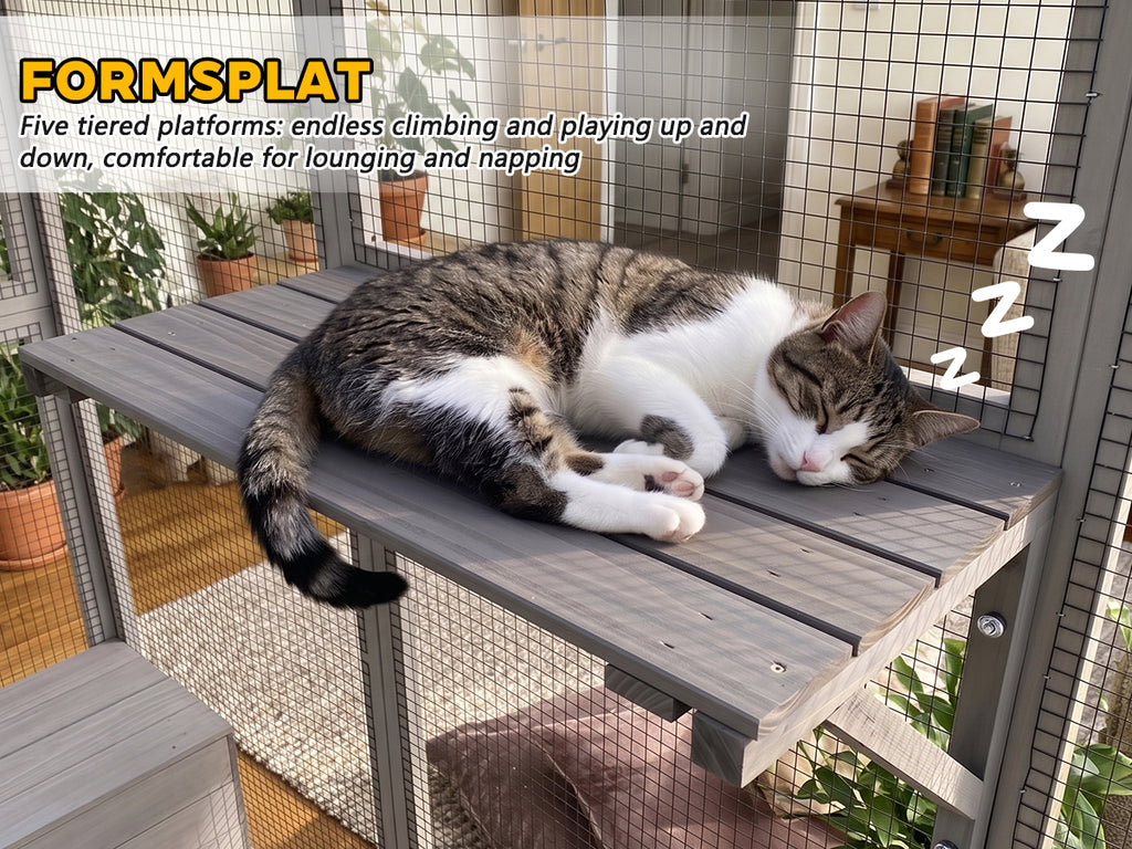 Catio en bois gris avec couvercle imperméable