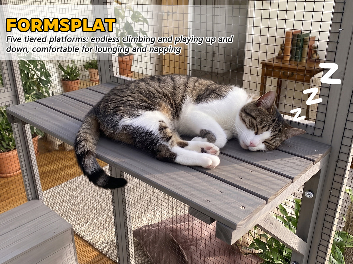Catio en bois gris avec couvercle imperméable