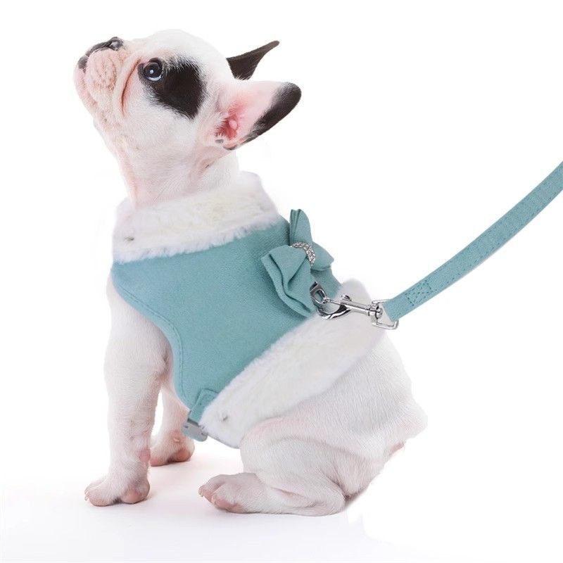 Mignon chaud petit chien Harnais et jeu de laisse avec Bow Tie