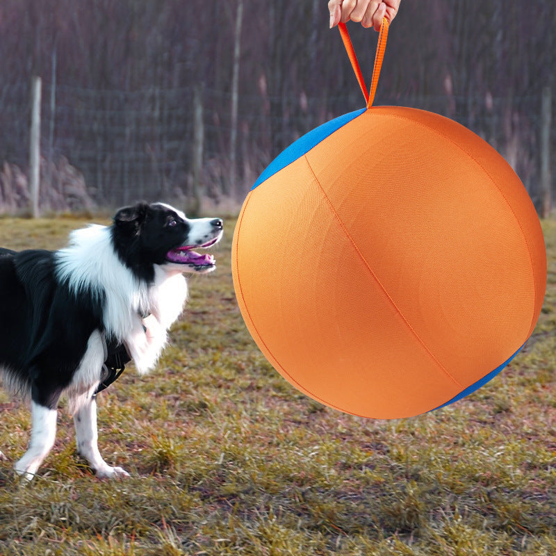 Jouet de boule de chien géant