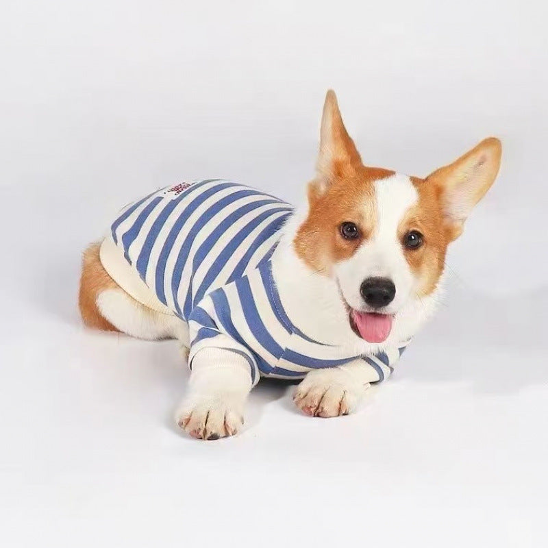 Vêtements pour chiens moyens à grands Corgis et Shih Tzus