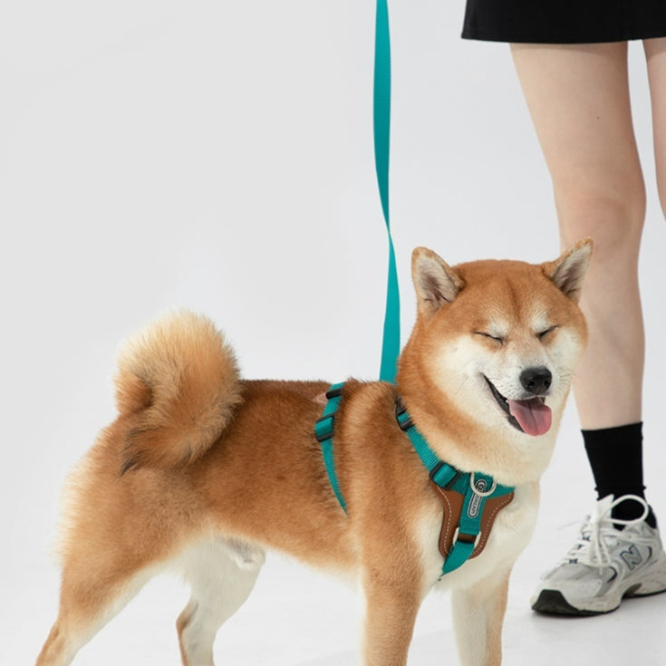 Poignée de chien Poignée multifonctionnelle anti-explosion Okinawa Poignée de poitrine de chien
