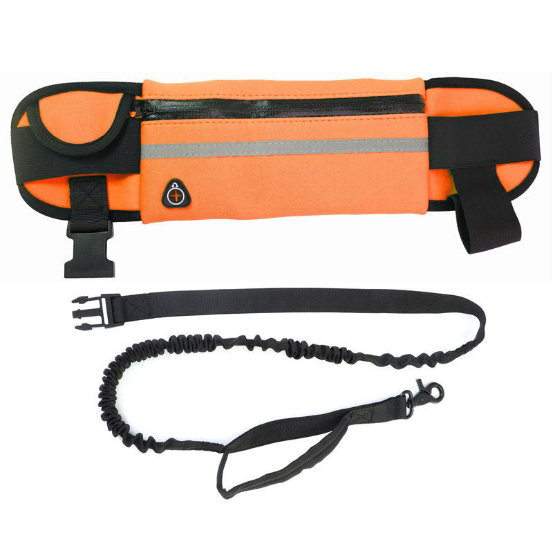 Entraînement pour animaux de compagnie Multi-Pocket Légère laisse