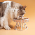 Élevée Pet Food Bowl Stand Neck Support Rack d'alimentation pour chats et chiens