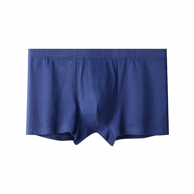 Briefs pour hommes pour hommes d'âge moyen et plus âgés