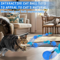 Balle de jouet pour chat