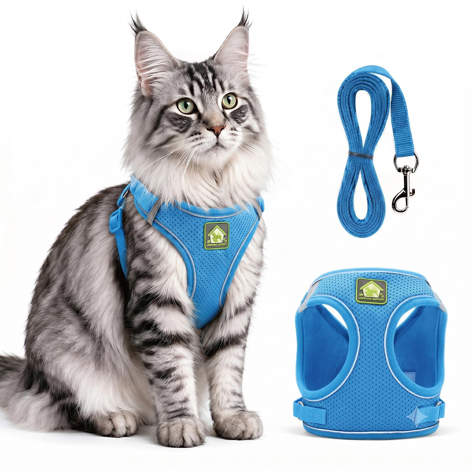 Harnais de chat et laisse