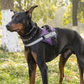 Harnais LeashVest-styl pour chiens moyens à grands