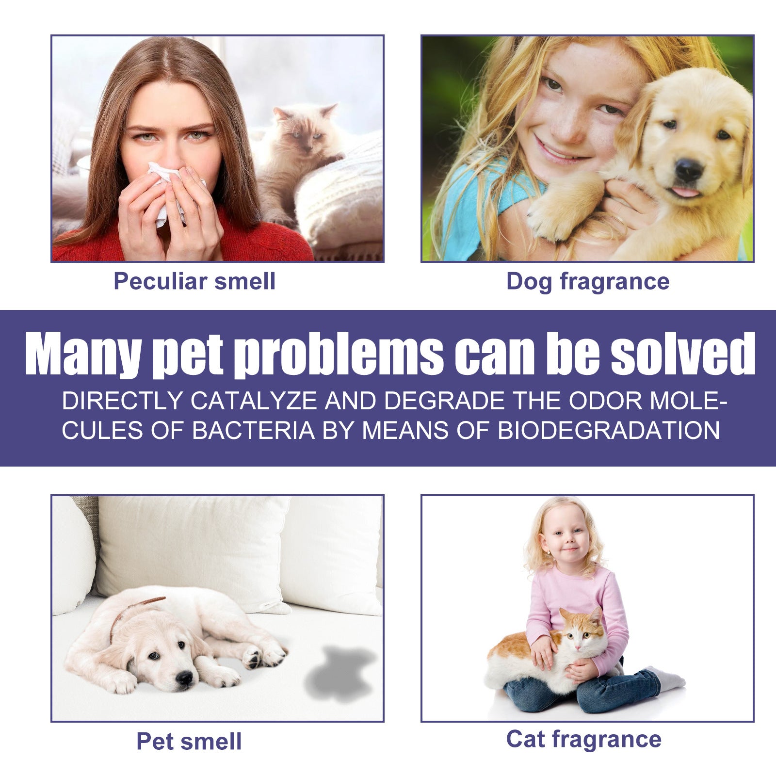 Vaporisateur de désodorisation pour chat et chien