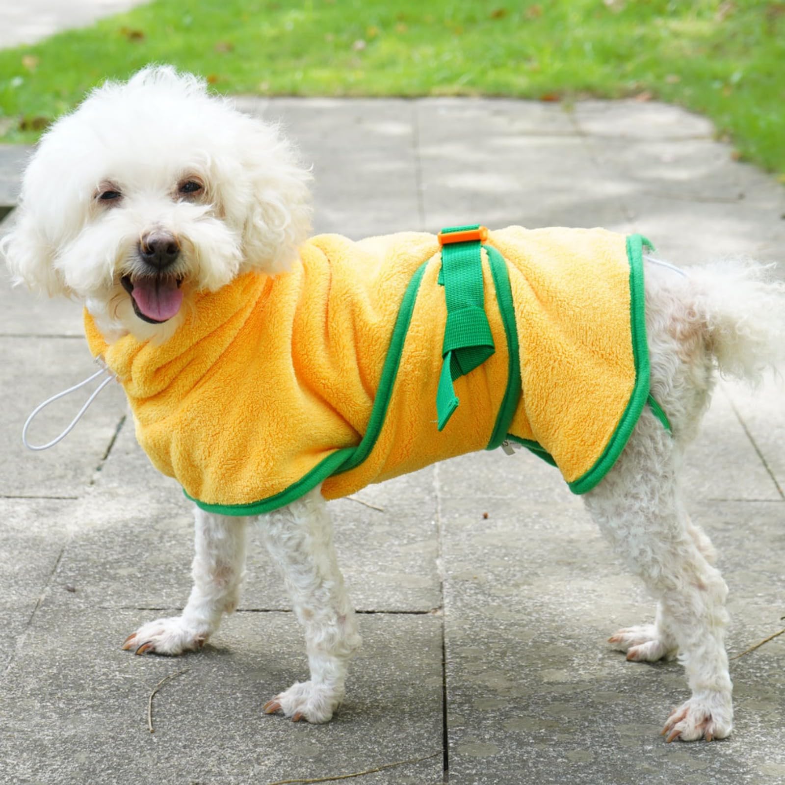 Serviette de toilettage pour chien