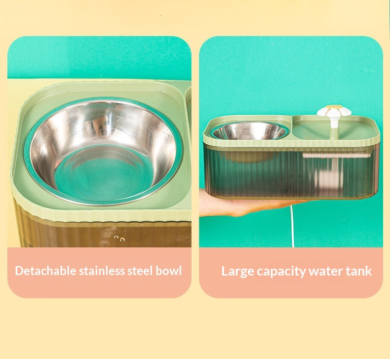 Distributeur automatique d'eau Cat