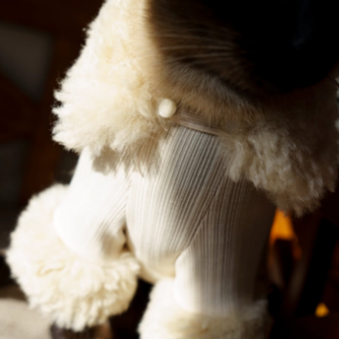 Four-Legged Dog Clothes Pet Powder Noblewoman Winter Year