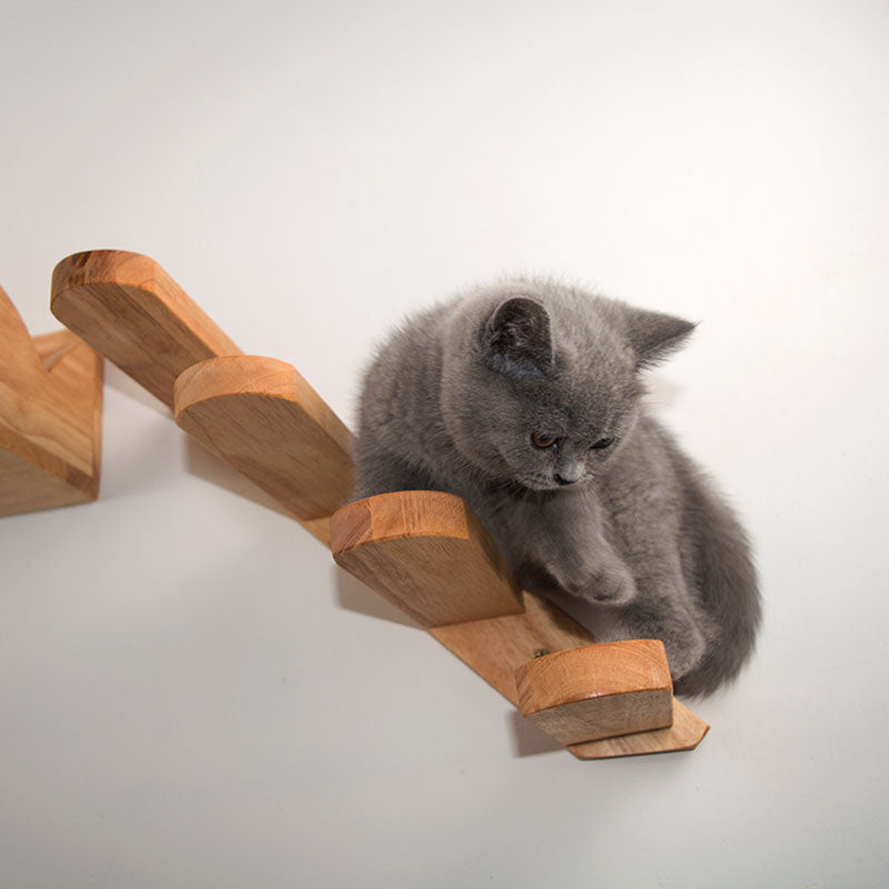 Chats Escaladeuses sur murs en bois massif