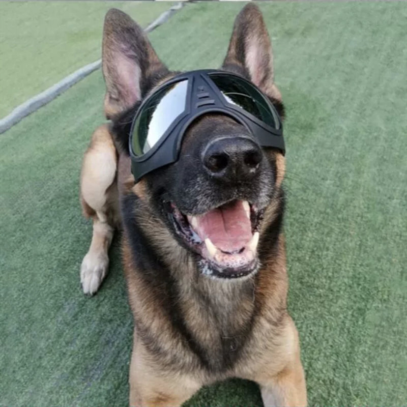 Grandes lunettes de soleil à encre de chien