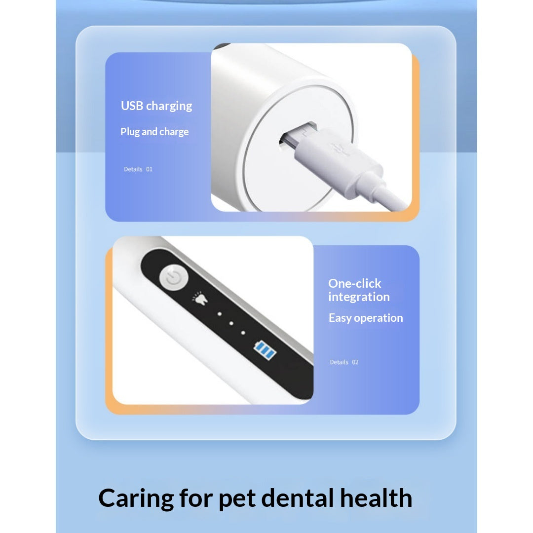 Nettoyeur dentaire ultrasonore de chat