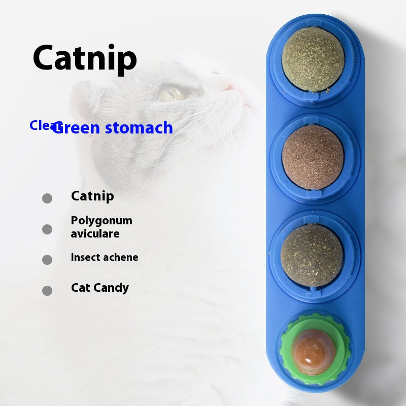 Tasses de jouet de chat Molar Longue durée Pet Supplies