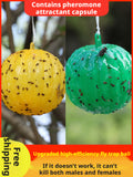 Boîte de boules de piège à mouche-jaune-1