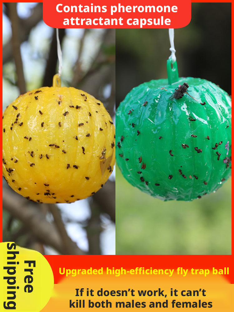Boîte de boules de piège à mouche-jaune-1
