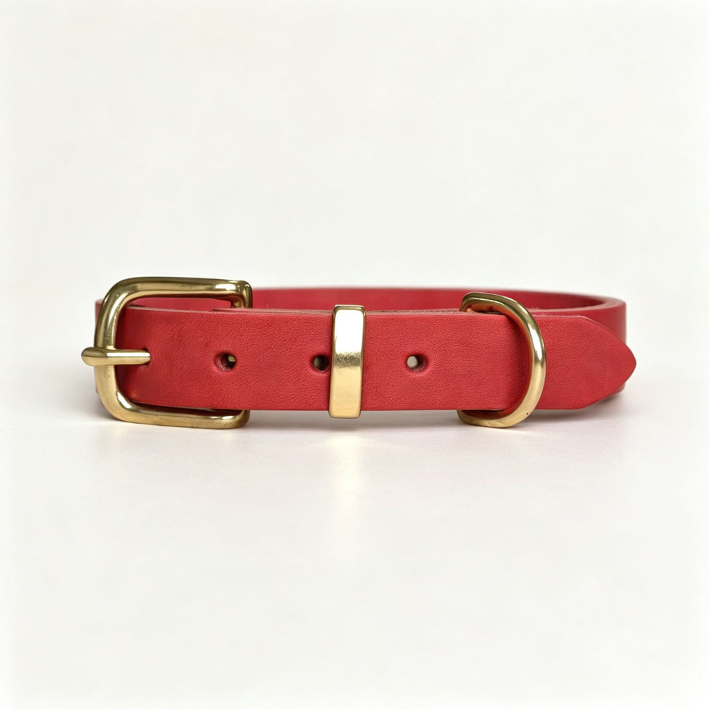 Collier pour animaux de style vintage avec fixations en laiton