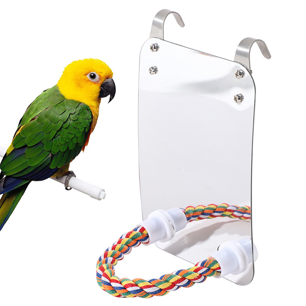 Jouet de perroquet oiseau acrylique avec miroir