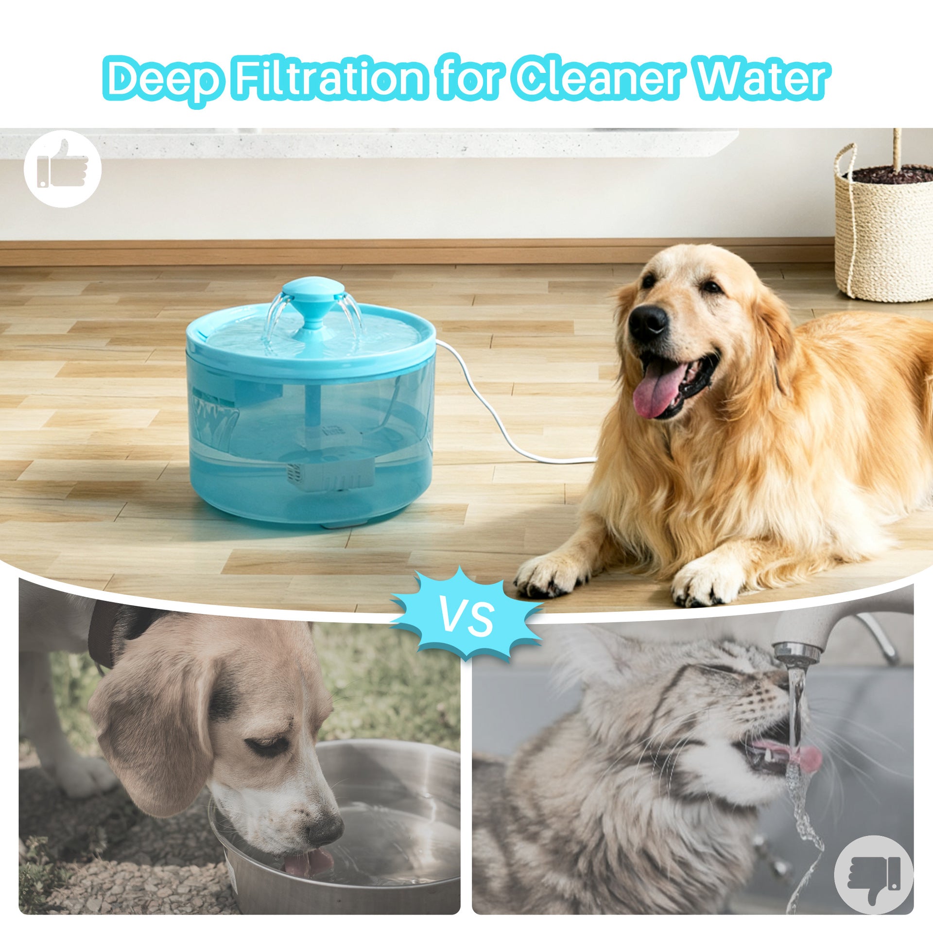 Fontaine automatique d'eau pour animaux de compagnie