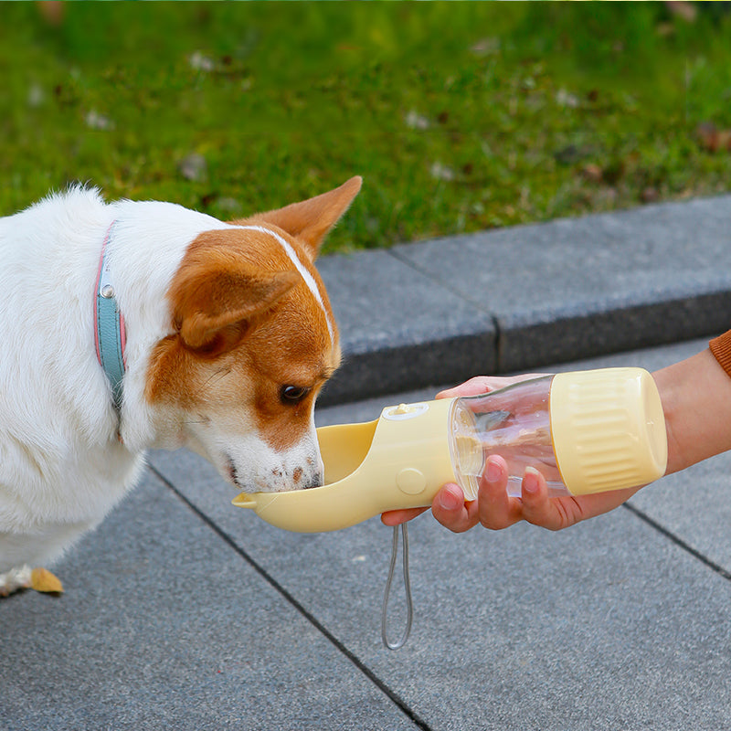 2 en 1 Bouteille d'eau pour chien portable pour petits grands chiens Chat extérieur puppy à l'épreuve des fuites