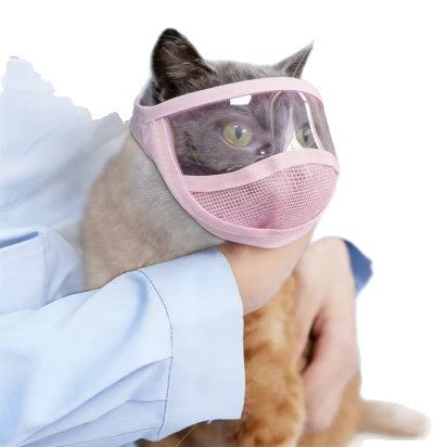 Chat Anti Bite Muselière Transparente Respirante Muselière Mesh Pour Grooming Nail Trimming Bain