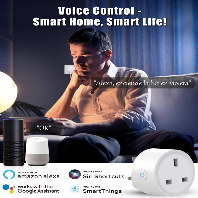 Smart Plug 2 Pack