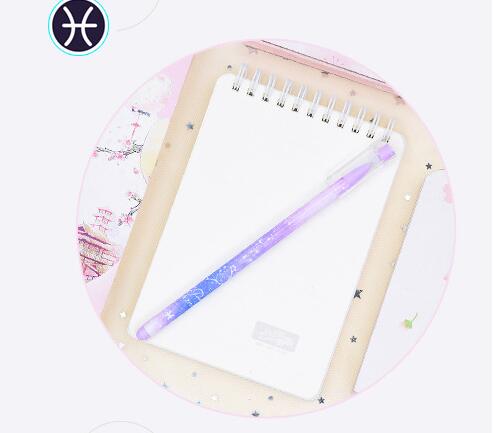 Stylo à gel à séchage rapide 12 constellations