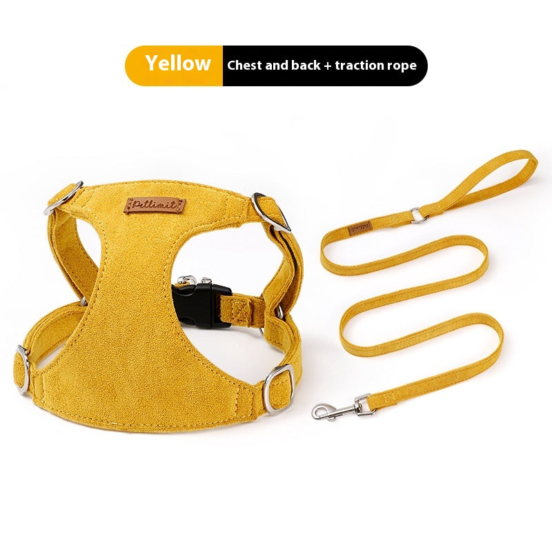 Puppy main tenant la corde Veste chien marche