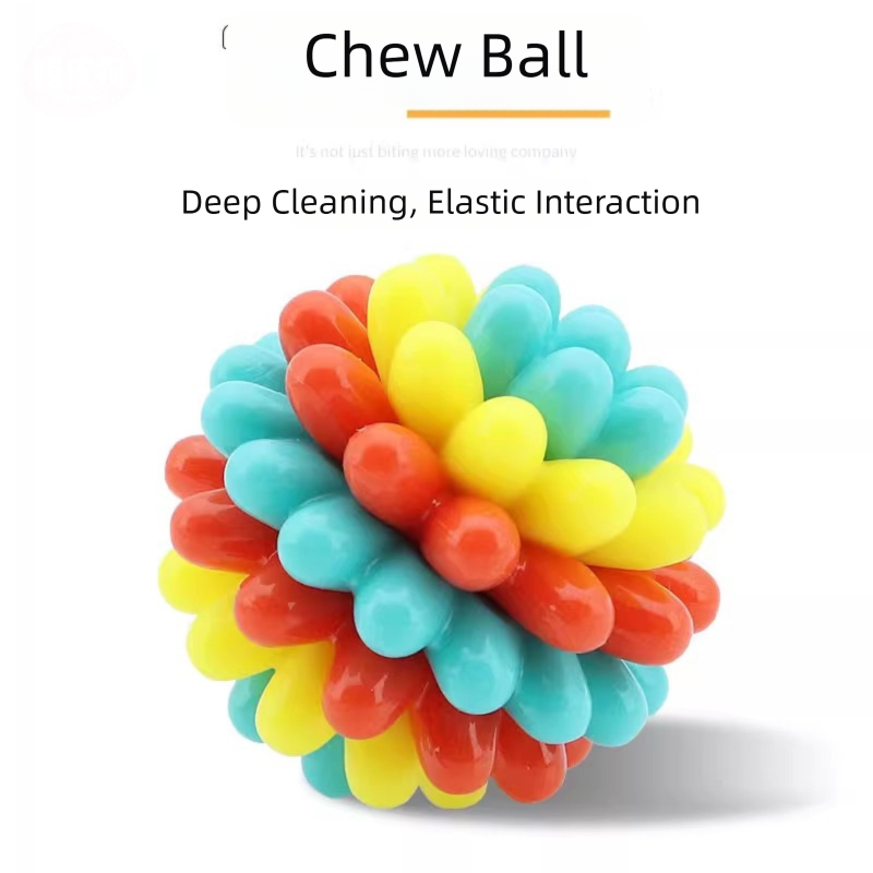 Balles de jouets de dents colorées pour animaux de compagnie