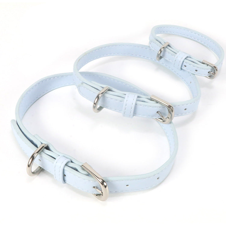 Collier pour chien en cuir pour chiens de taille petite à moyenne avec une corde de traction