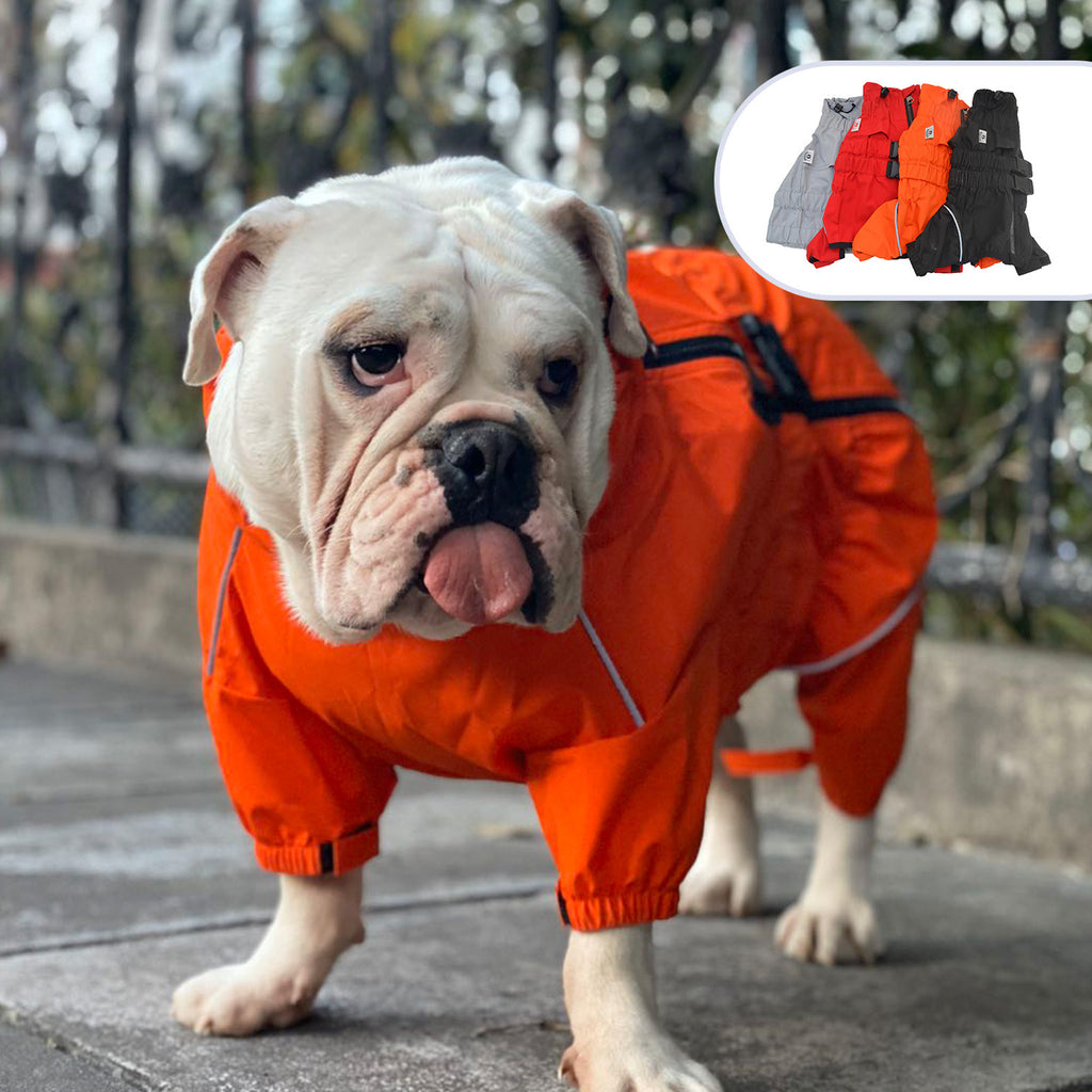 Vêtements pour animaux de compagnie à quatre pattes