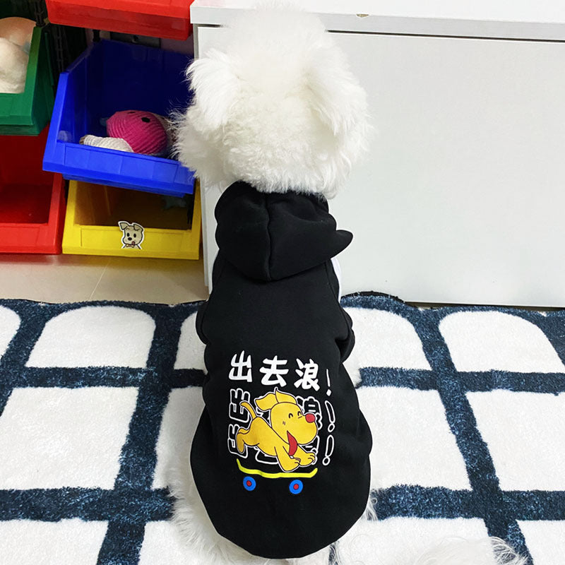En automne et en hiver, les vêtements de chien sont mignons
