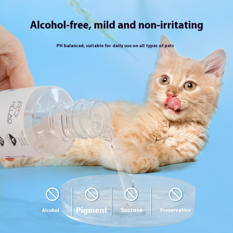 Animaux de compagnie Mouthwash Chat Chien Dent Nettoyage Eau propre Orale légère