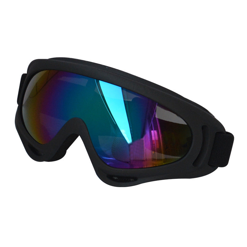 Lunettes de soleil extérieures pour chiens Décoration
