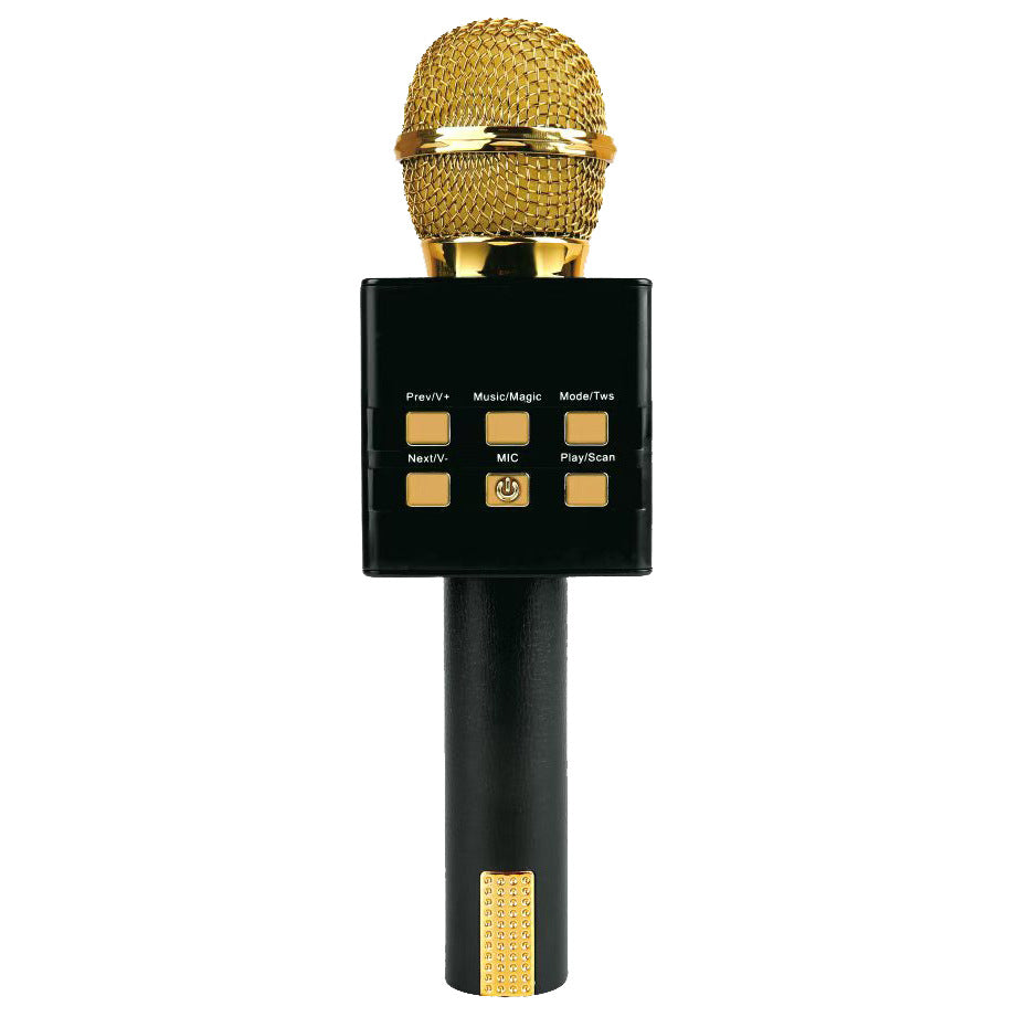 Système audio portatif tout-en-un sans fil Bluetooth Condenseur Microphone