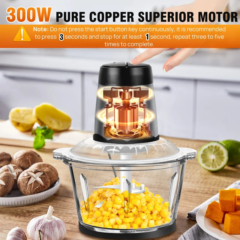 300W Electric Blender Mixer with 2L Glass Container