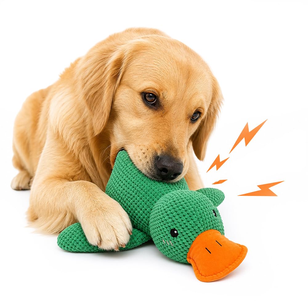 Jouets pour chiens pour brochettes agressives