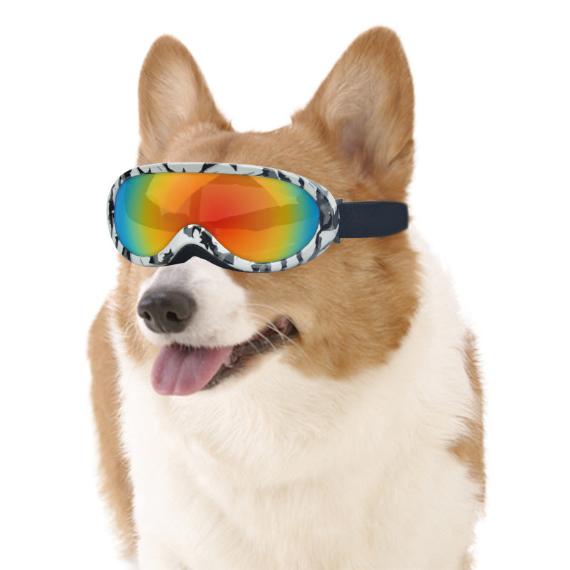 Lunettes de soleil anti-vent pour chat