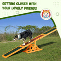 Agilité chien en bois Seesaw pour l'entraînement d'équilibre et l'exercice