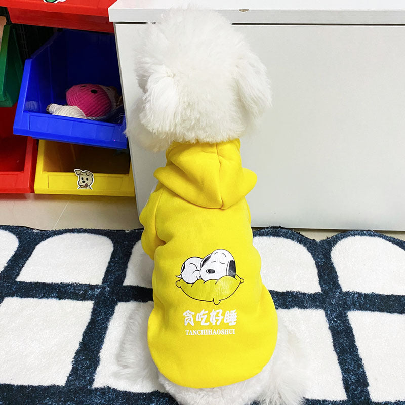 En automne et en hiver, les vêtements de chien sont mignons