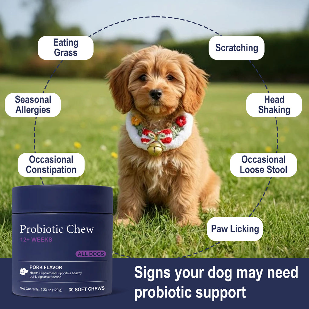 Multivitamine de chien 22-en-1 pour les articulations de la peau et la santé globale