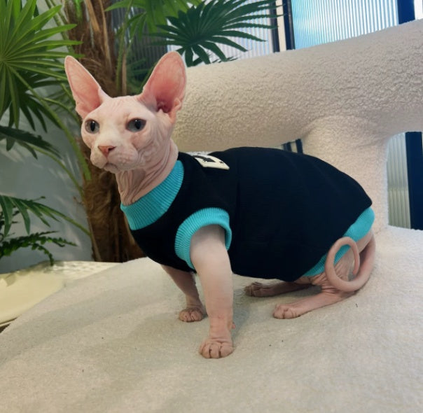 Sphynx Cat Sleeveless Black T-shirt with Blue Trim, Cotton, Spring/Summer Clothing for Hairless Cats