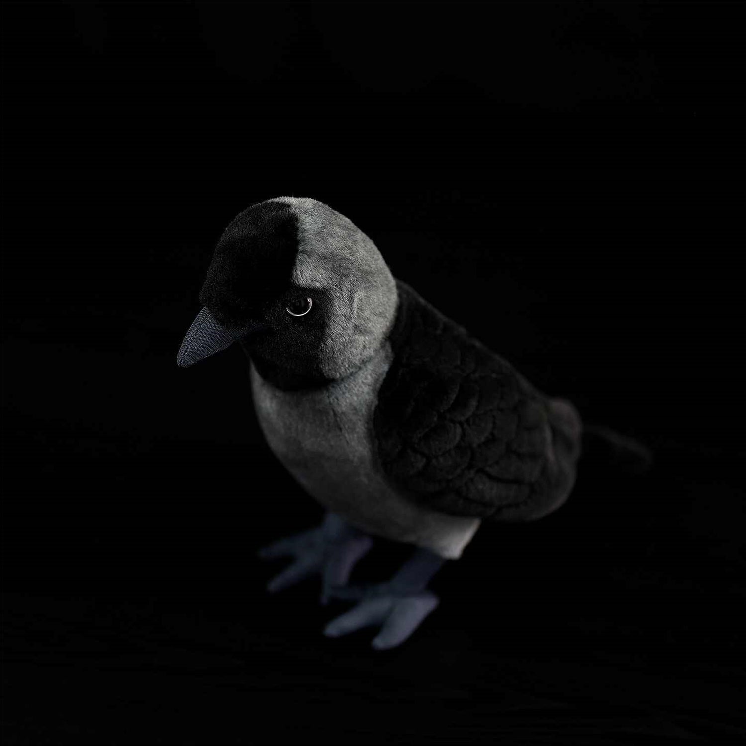 Les poupées en peluche de Jackdaw Ouest sont mignonnes